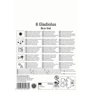 Kiepenkerl Blumenzwiebeln Gladiole Bra Val