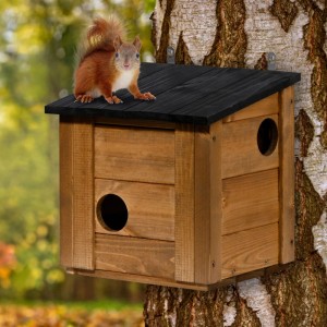 Brauner Eichhörnchenkobel Tallinn aus Holz mit schwarzem Dach, an Baumstamm. Eichhörnchen auf dem Dach. Mit 3 Eingängen.