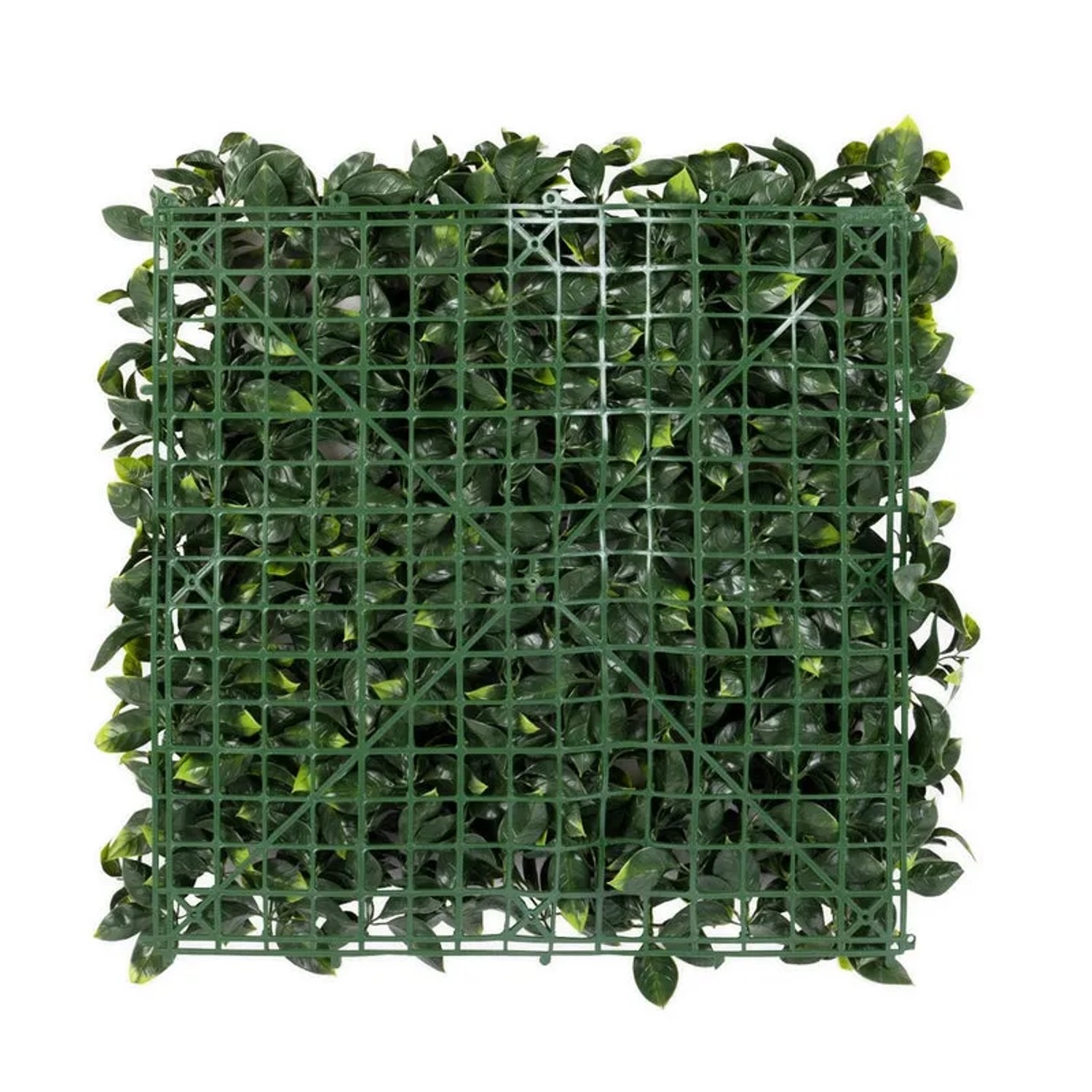 KARAT knstliche Pflanzenwand Gardenia 50 x 50 cm kaufen bei OBI