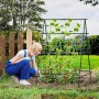 Costway A-förmige Gurken Rankhilfe mit Frau bei der Gartenarbeit. Ideal für Gurken, Tomaten und andere Kletterpflanzen.