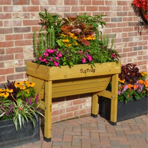 VegTrug Wallhugger Hochbeet aus Zedernholz, bepflanzt mit Blumen und Kräutern.