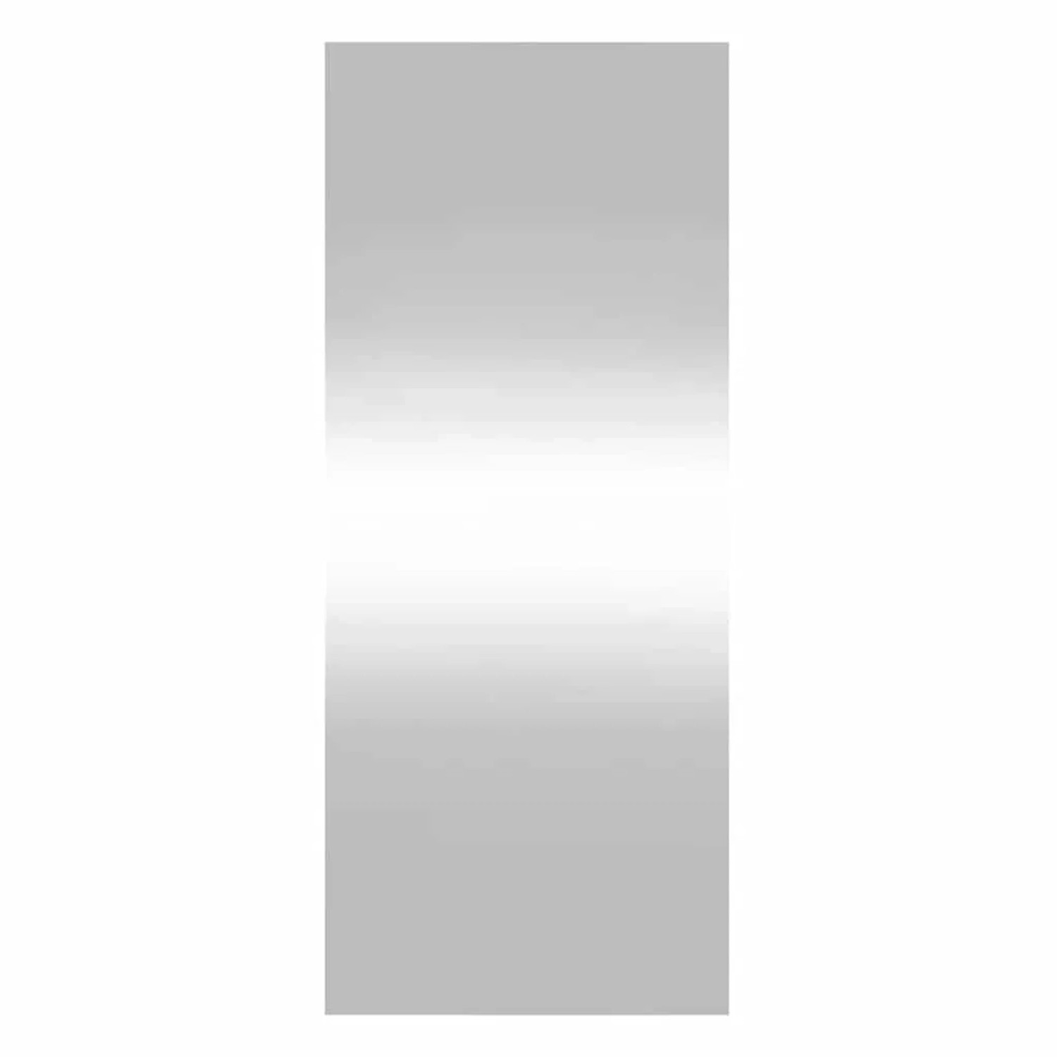 vidaXL Wandspiegel 40x100 cm Glas Rechteckig 350448