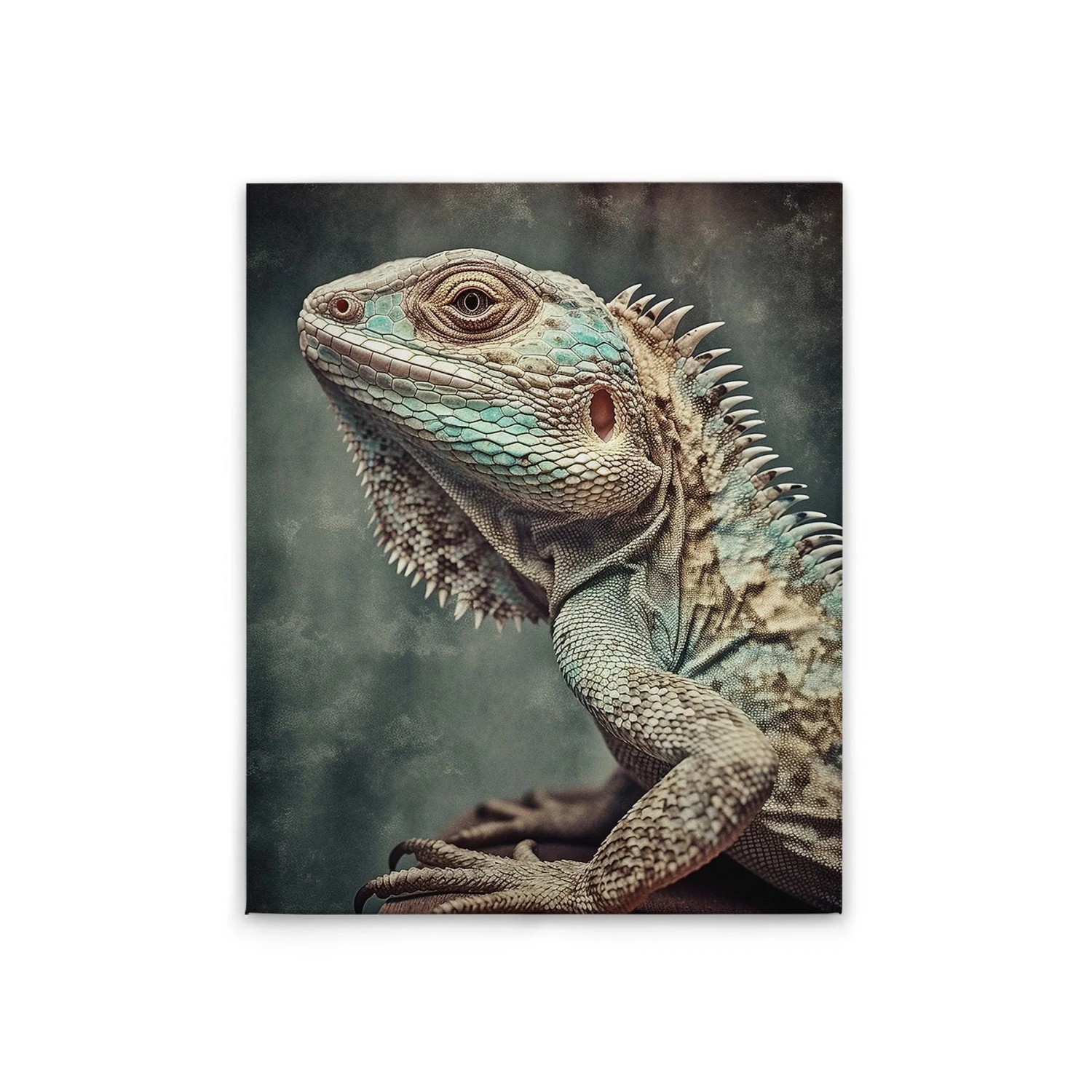 Tadessi Leinwandbild - M1-No.52257 - Eidechse - 40 x 50 cm - Querformat