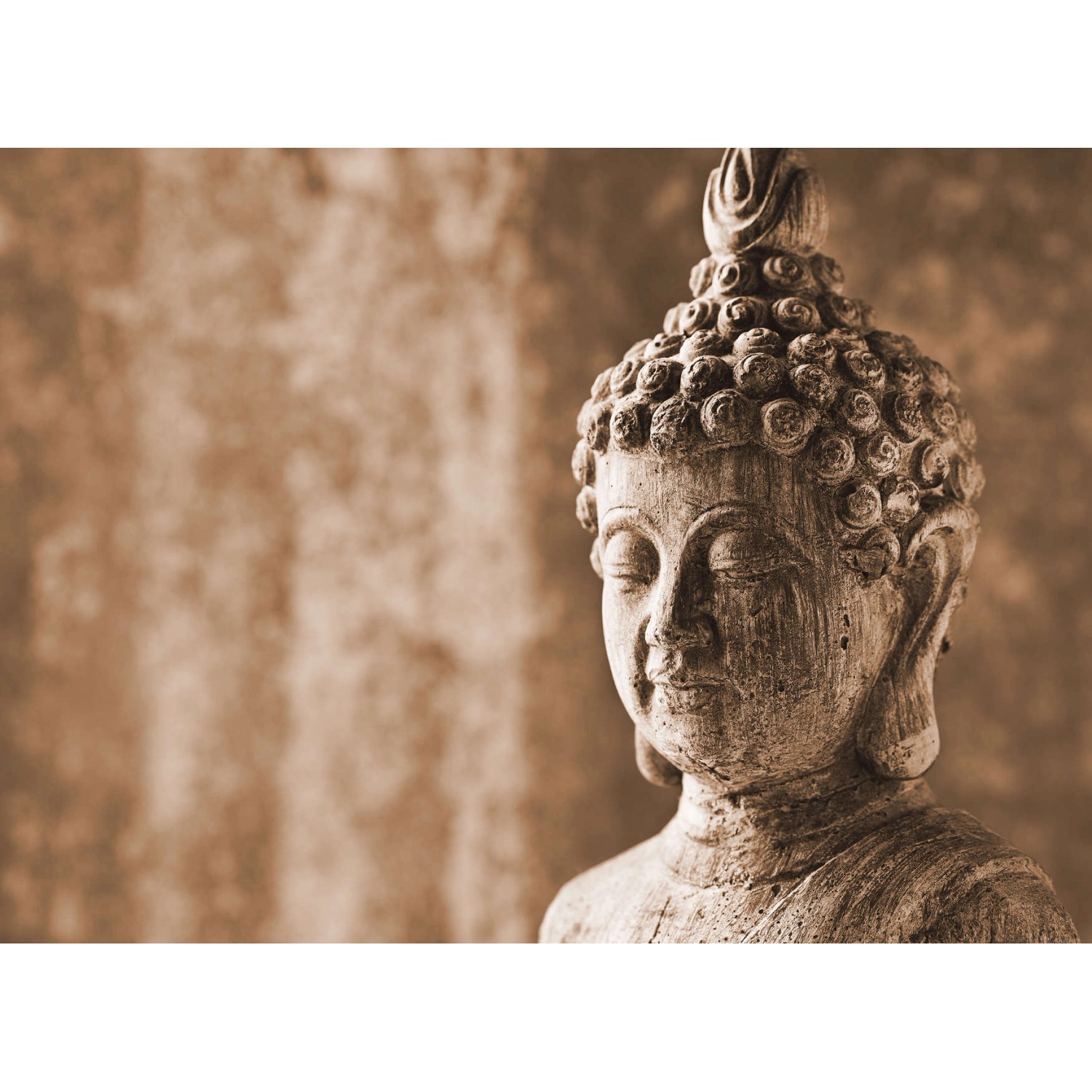 Fototapete Buddha Statue Asiatisch Braun Grau 3,50 m x 2,55 m FSC®