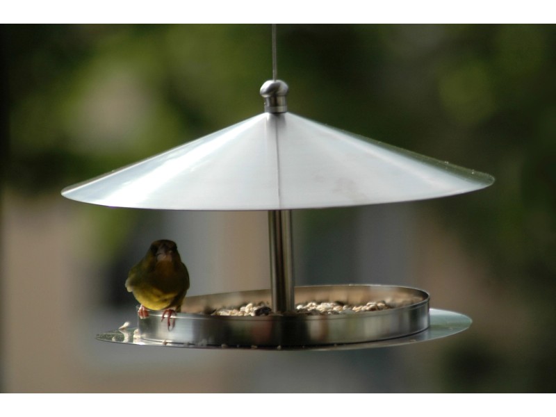 Sorbus Vogelfutterstation Mit Sitzstange – 2er Pack – Perfekt Für Garten, Balkon & Vogelbeobachtung