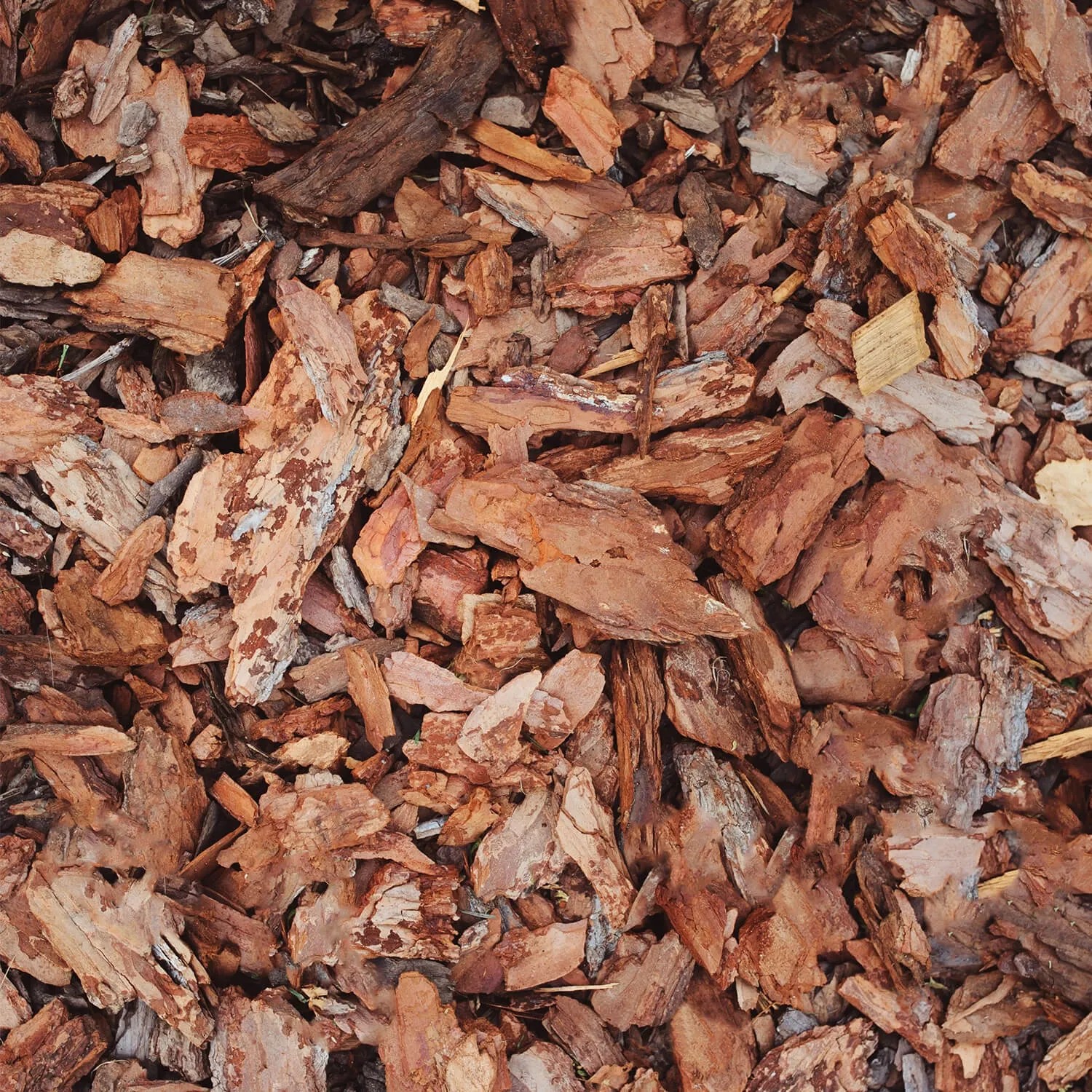 Nahaufnahme von Galamio Kiefernrinde Mittel, ideal als Rindenmulch für Beete und Kübel.