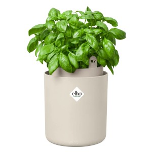 Elho Bouncy Basil Kräutertopf, leinenweiß, mit Basilikumpflanze.
