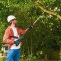 Mann mit weißem Schutzhelm sägt mit Bosch Akku Teleskop-Kettensäge UniversalChainPole 18 hohe Äste im Garten.