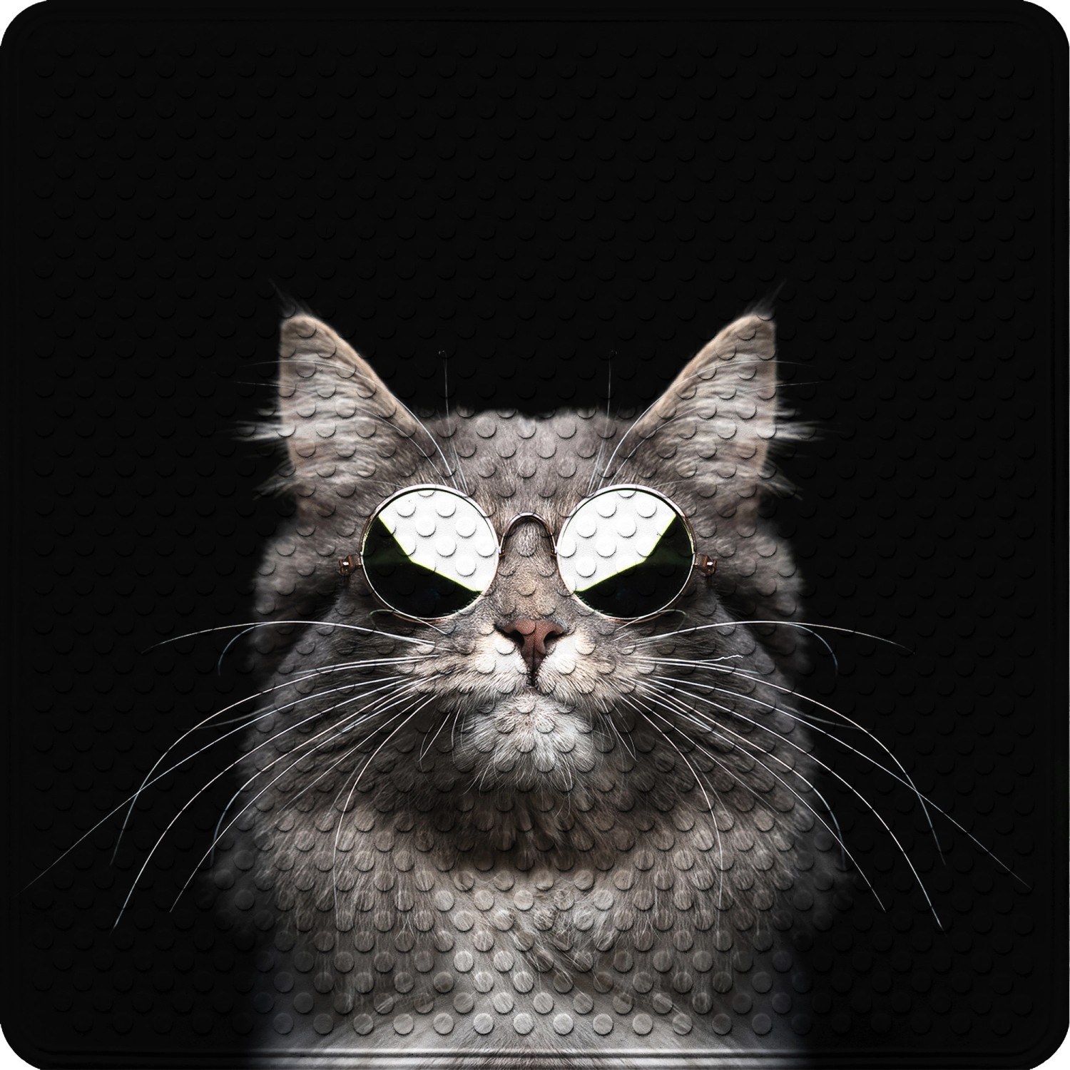 SANILO Badematte Cool Cat günstig online kaufen