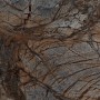 Feinsteinzeug Bodenfliese, 60x120 cm, Steinoptik, polierte Glasur für Innenräume.