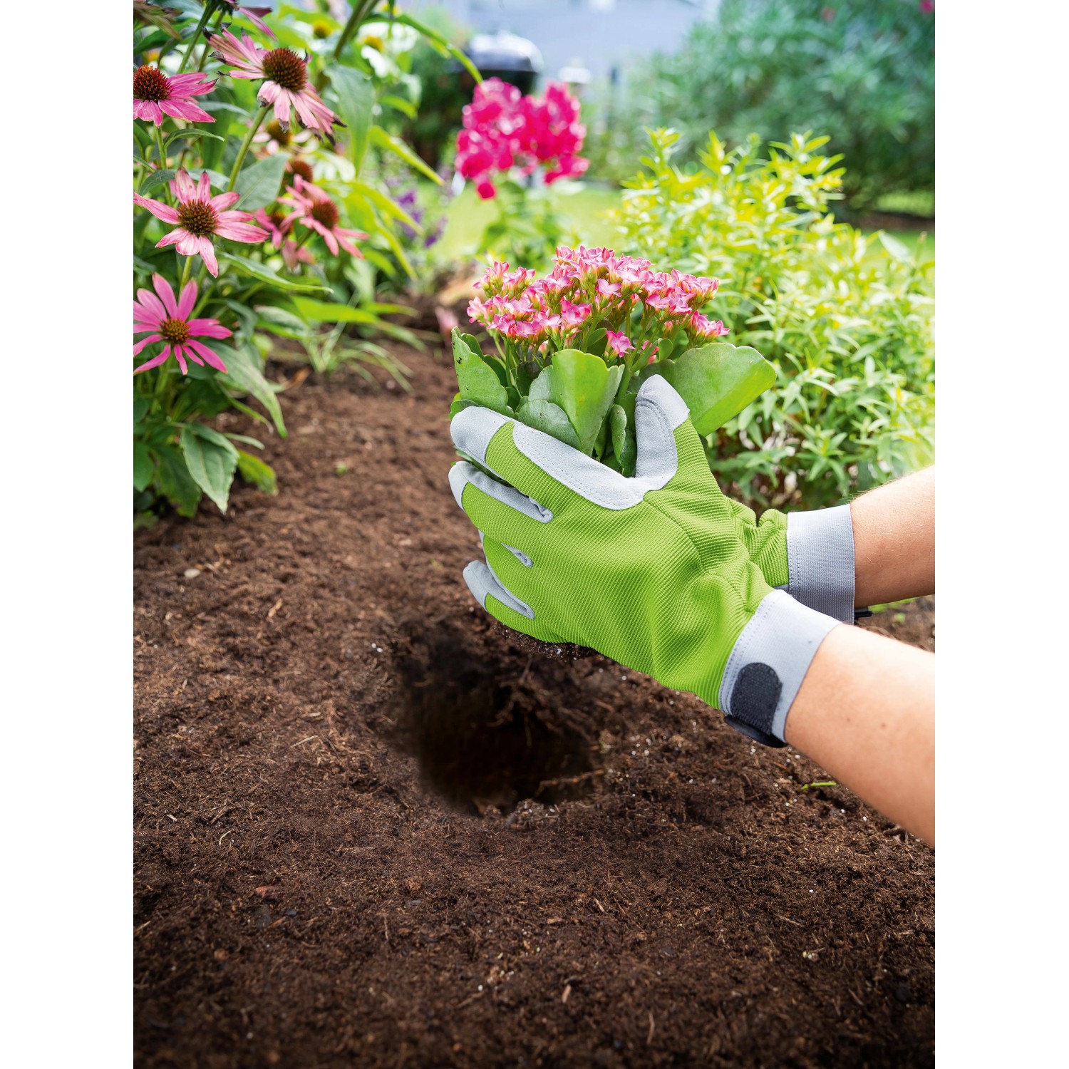 Grün-graue Gartenhandschuhe Gr. 8 beim Einpflanzen einer Blume im Gartenbeet.