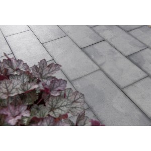 Diephaus Terrassenplatte Rima Quarzit, 60x40 cm, graue Gehwegplatte mit Pflanze.