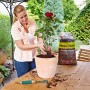 Frau pflanzt Rose mit Floragard Pinienrinde fein 2-8 mm in Topf.