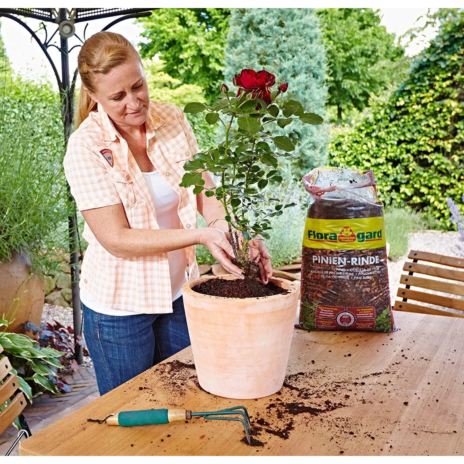 Frau pflanzt Rose mit Floragard Pinienrinde fein 2-8 mm in Topf.