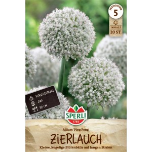 Sperli Zierlauch 'Ping Pong' Blumenzwiebeln mit weißen, kugeligen Blüten auf langen Stielen.