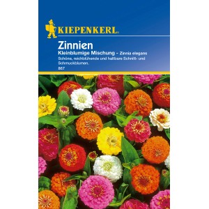 Kiepenkerl Zinnien, kleinblumige Mischung in verschiedenen Farben.