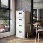 Jan Nowak Aktenschrank mit 4 Schubladen SARA V4 132 x 46 x 62 cm Grau_4