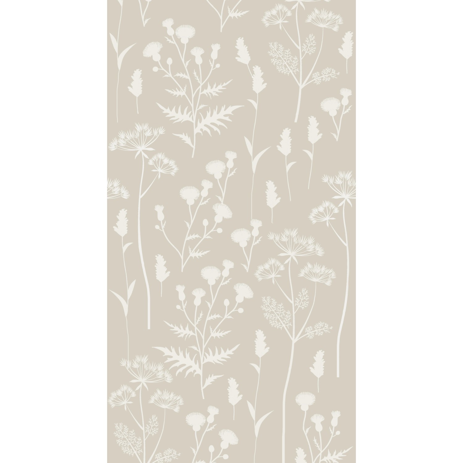 ESTAhome Fototapete Feldblumen Sandbeige 1,5 x 2,79 m 159217 günstig online kaufen