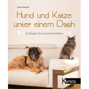 Hund und Katze unter einem Dach