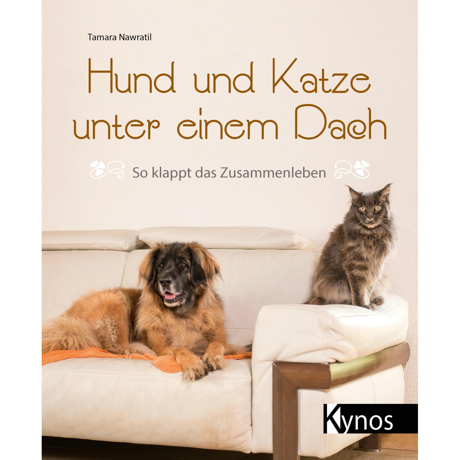 Hund und Katze unter einem Dach