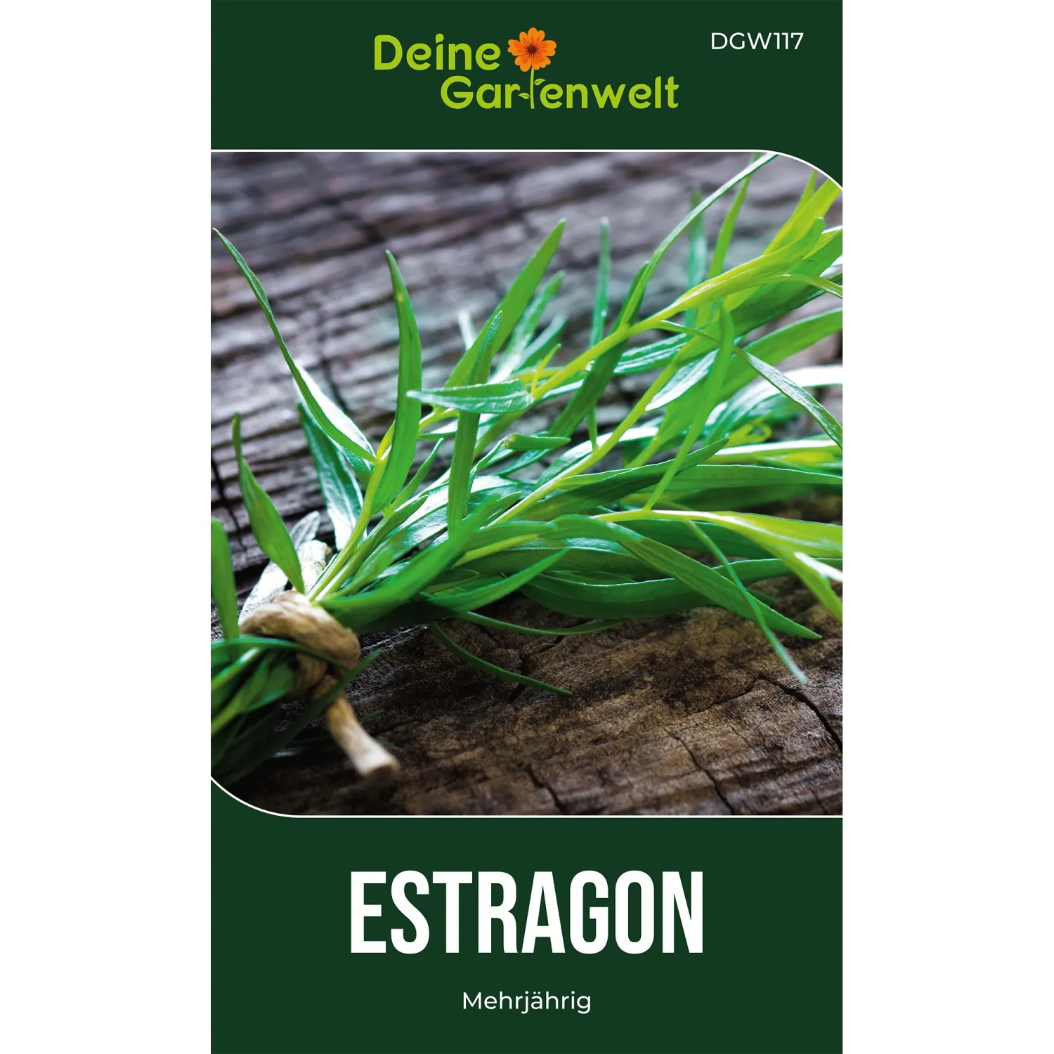 Deine Gartenwelt Estragon Mehrjährig Samen