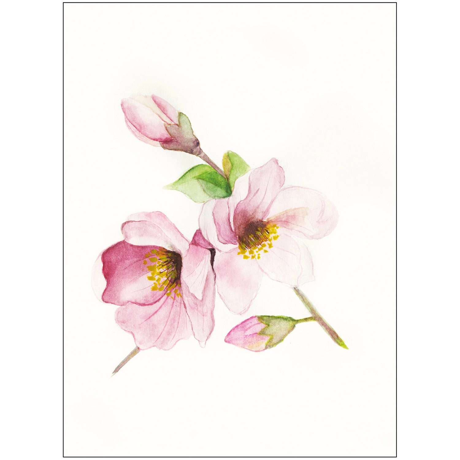 Komar Wandbild Magnolia Breathe 40 x 50 cm