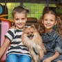 Kinder mit Hund vor einem schwarzen, verstellbaren Hundegitter für das Auto.