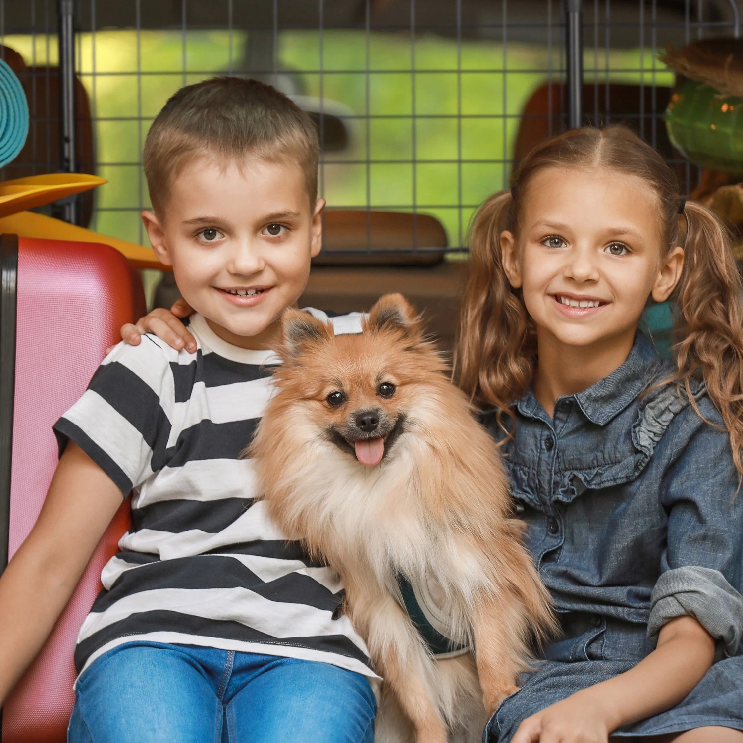 Kinder mit Hund vor einem schwarzen, verstellbaren Hundegitter für das Auto.