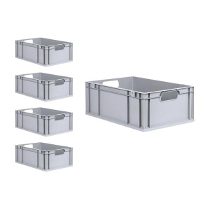 PROREGAL Spar Set: 5 graue Euroboxen mit Deckel, 44 Liter, für Lagerung und Transport.
