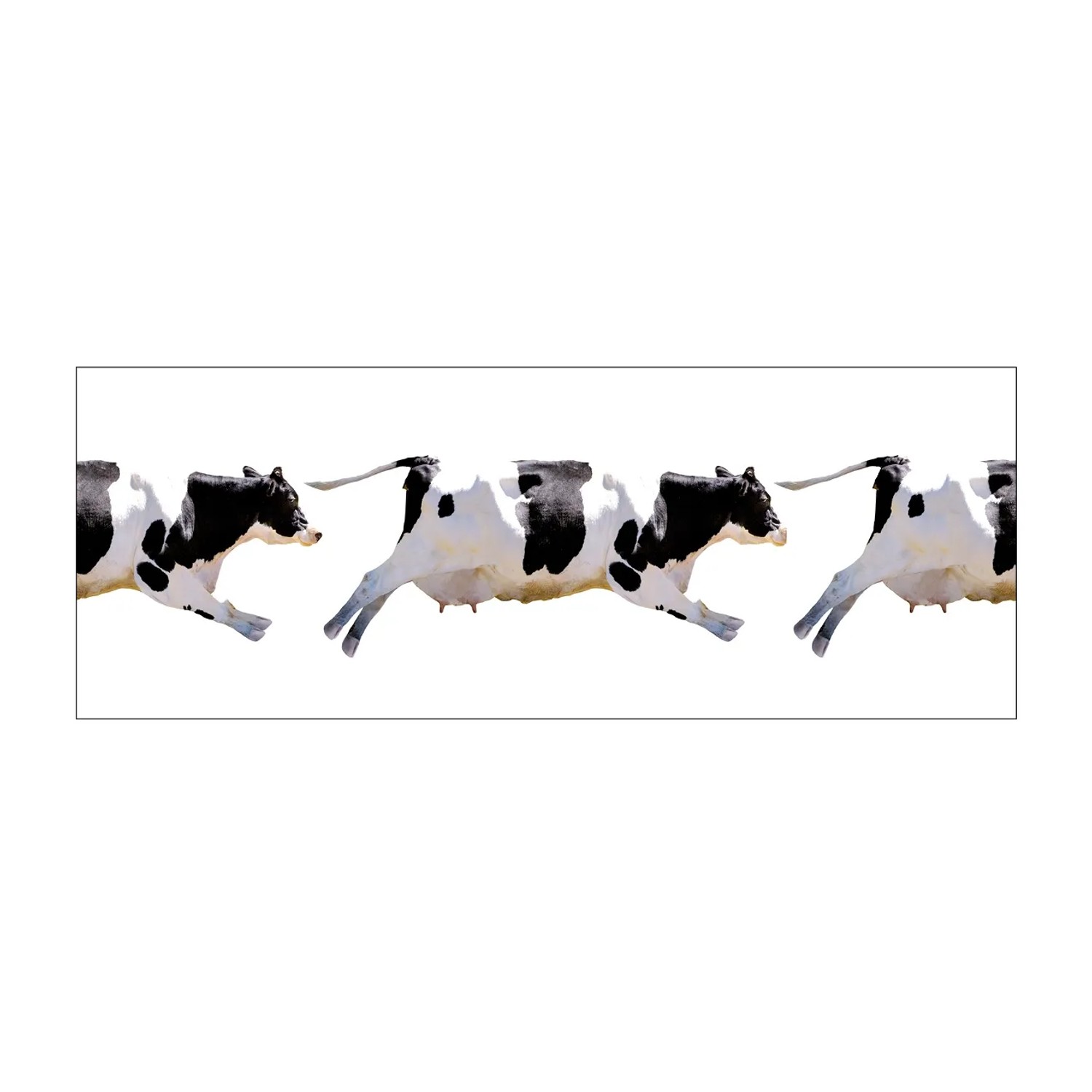 MySpotti Küchenrückwand Profix Cucina Fliegende Kuh 160 x 60 cm Schwarz-Weiß