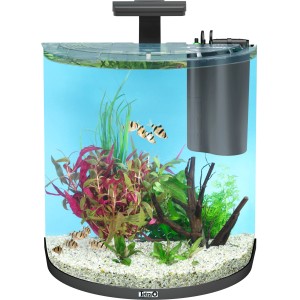 Tetra AquaArt II Explorer Line Tropical LED Aquarium-Set 60 l, anthrazit, mit Fischen und Pflanzen.