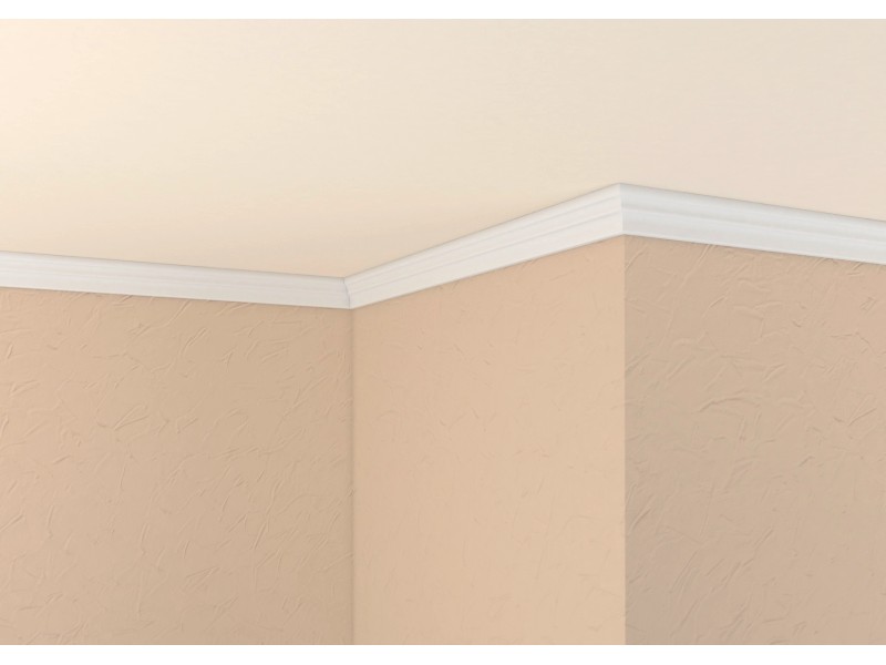 趣味 STREET image.jpeg