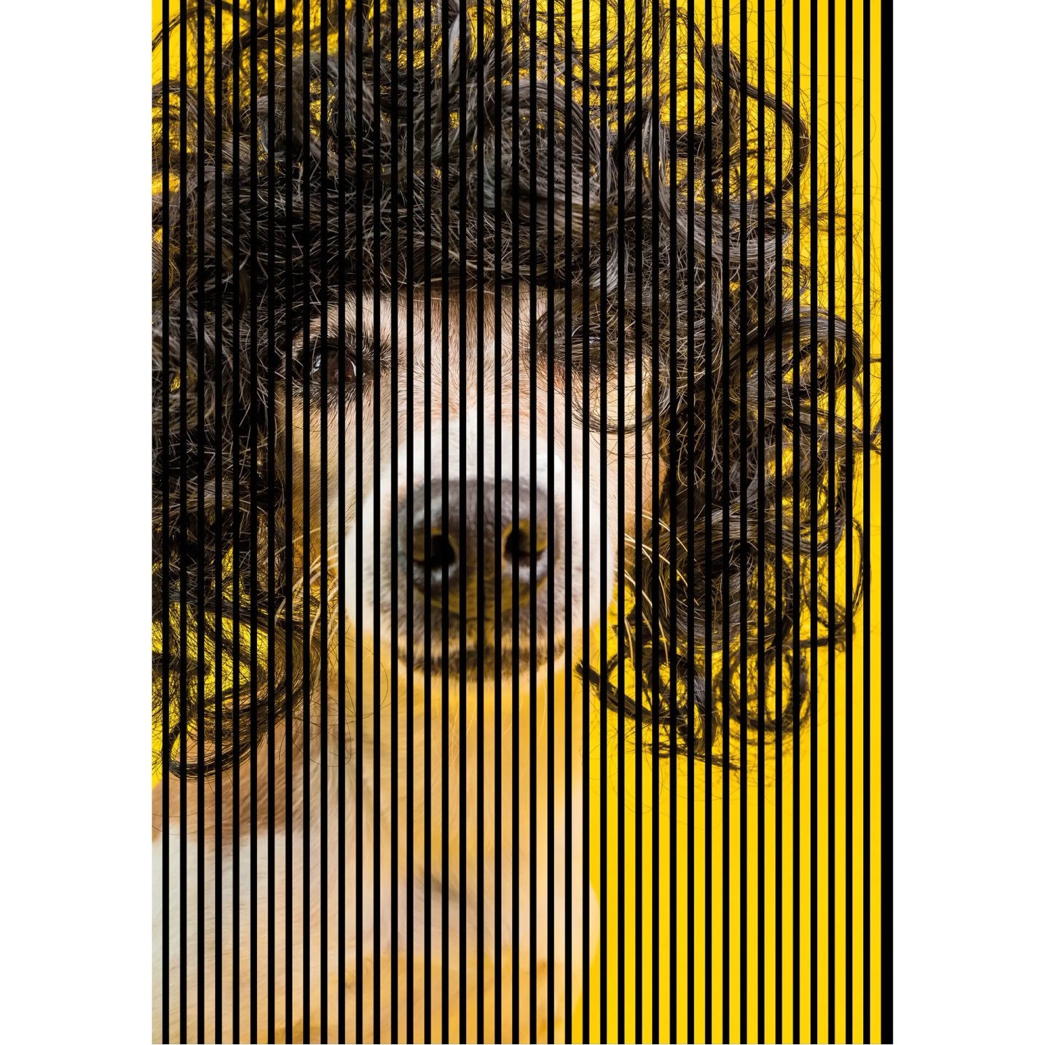 FN Acustico Akustikplatte Dog 2 PET u. MDF Foliert 1.693 x 19 x 2.400 mm