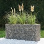 Bellissa Gabionen-Hochbeet Premium, verzinkt, 200x75x100cm, befüllt mit Steinen und bepflanzt.