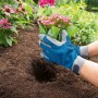 Hände mit blauen Gartenhandschuhen pflanzen Blume in Erde. Arbeitshandschuhe für Gartenarbeit.