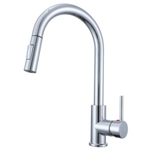 Chrom Küchenarmatur mit ausziehbarem Sprayer und 2 Strahlarten.