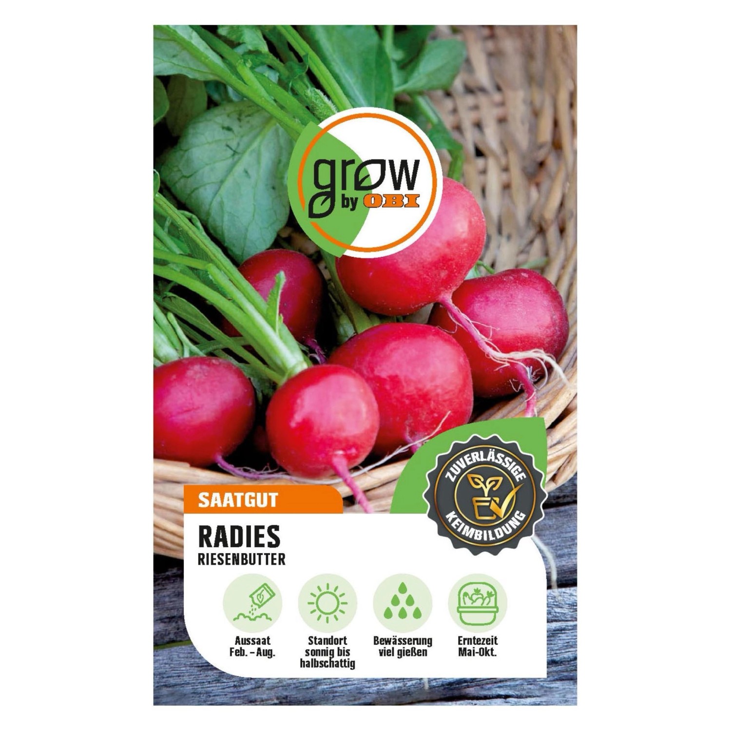 GROW by OBI Schnittlauch Medium Leaf