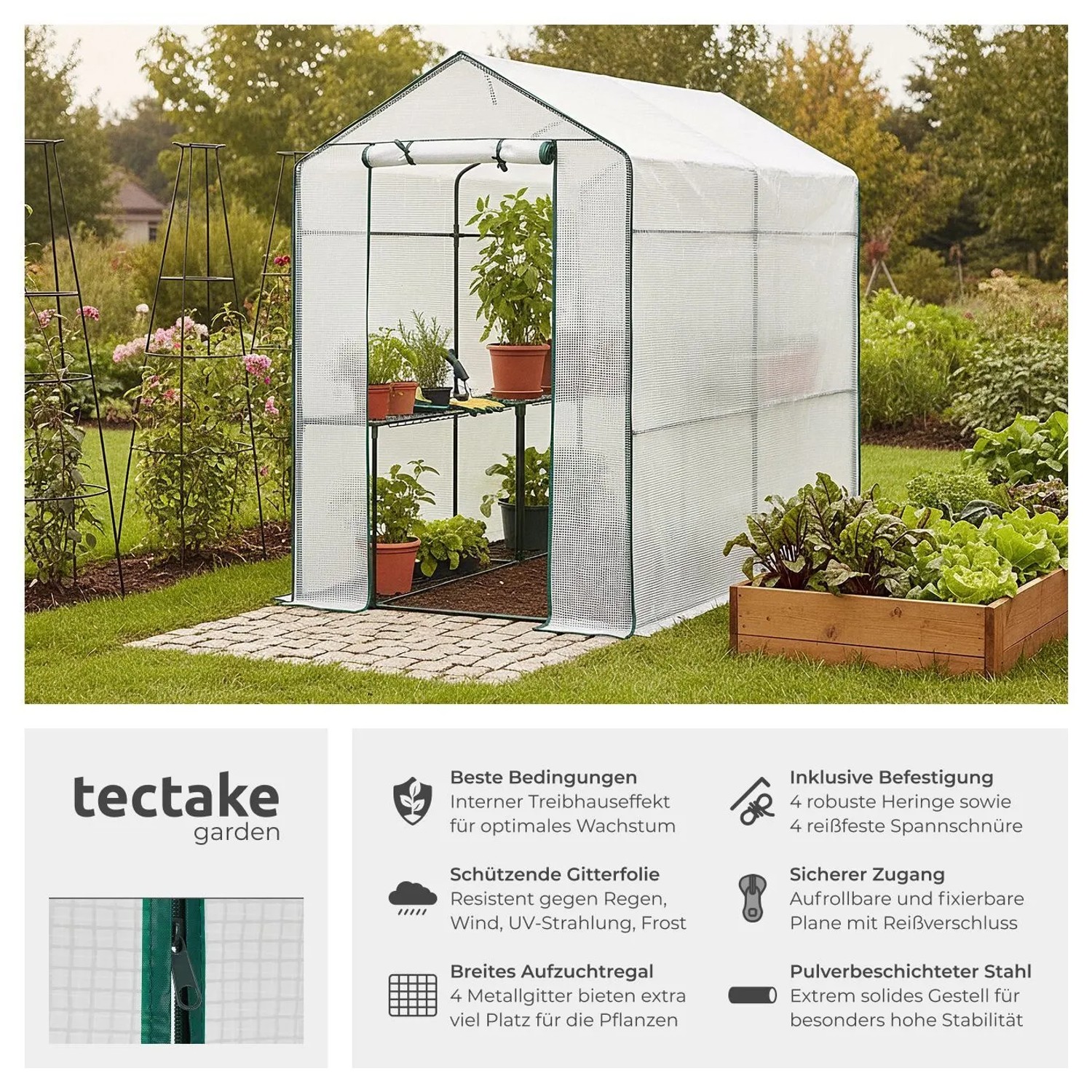 Tectake Foliengewächshaus Andrea 3 6 M³ Mit 4 Regalebenen Aufbau Im Stecksystem 186 x 120 x 190 cm Weiß_2