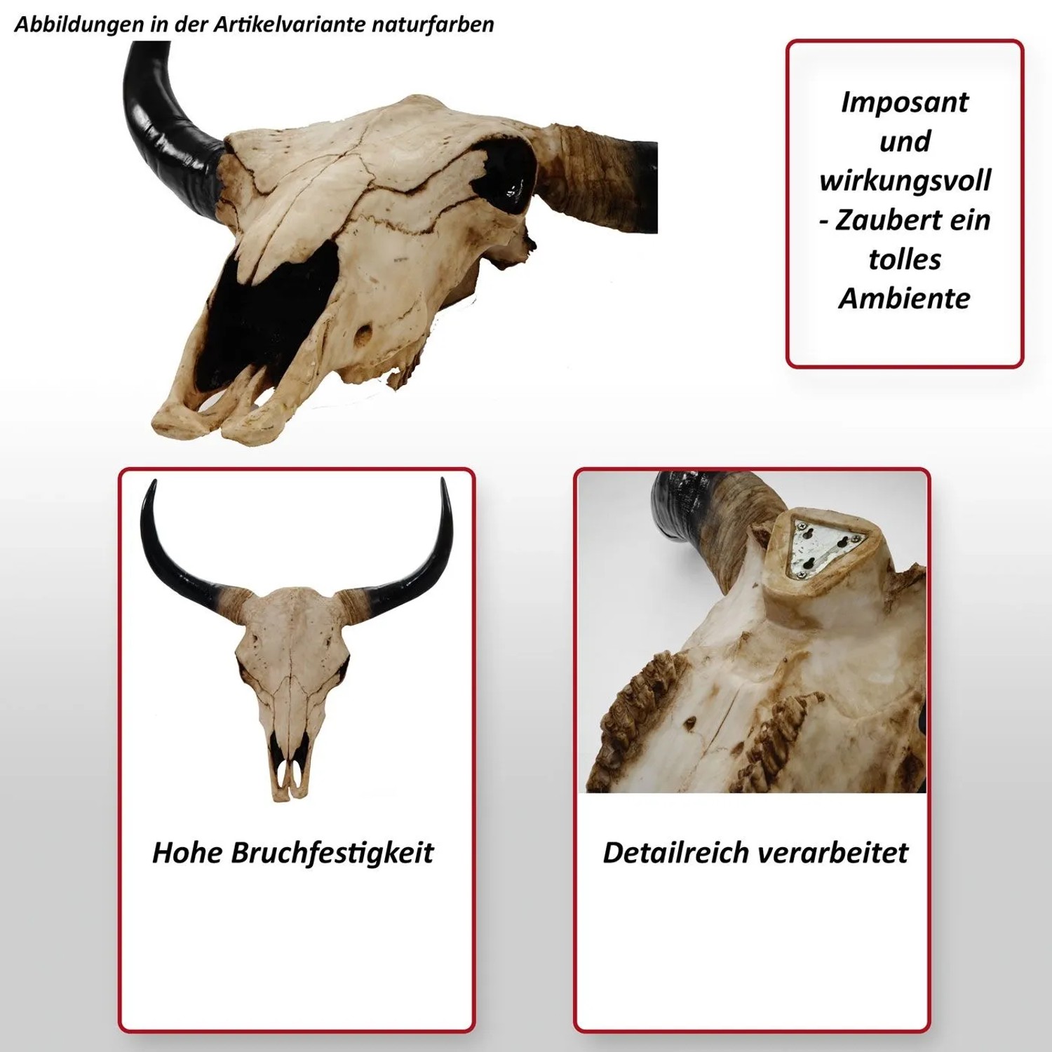 MCW Deko Schädel 45cm T454 Stier Naturfarben_2