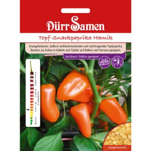 Dürr Samen Topf-Snackpaprika Hamik: Saatgut für orangefarbene Mini-Paprika.