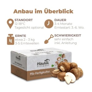 Hawlik Pilzbrut Pilzzuchtset-Bundle für Champignons mit 2 Kleinen Zuchtsets für Weiße und Braune Champignons Ideal für Anfänger