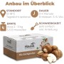 Hawlik Pilzbrut Pilzzuchtset-Bundle für Champignons mit 2 Kleinen Zuchtsets für Weiße und Braune Champignons Ideal für Anfänger_2
