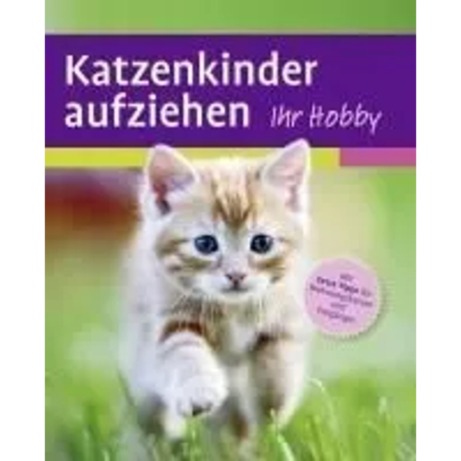 Katzenkinder aufziehen