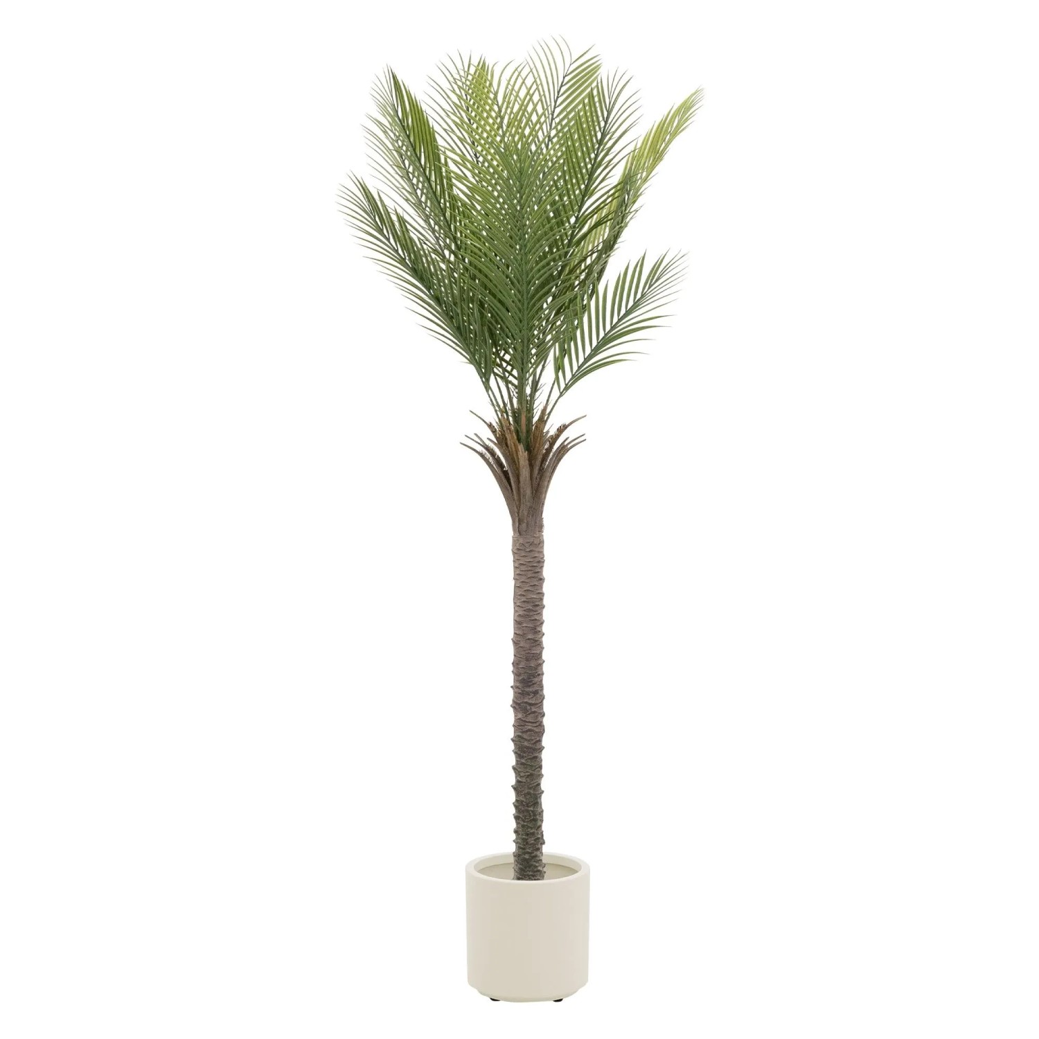ML-Design Künstliche Palme 180 cm Groß im Topf für Indoor/Outdoor