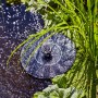 Heissner Solar-Wassergarten Aquatopia mit Wasserfontäne und Pflanzen im Teich.