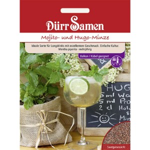 Dürr Samen Mojito- und Hugo-Minze: Saatgut für aromatische Kräuter, ideal für Cocktails.