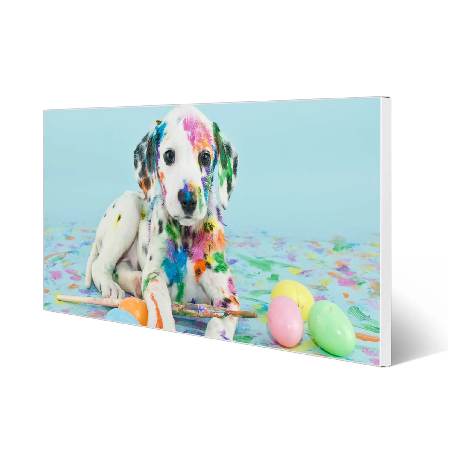 Bunte Magnettafel mit Dalmatiner-Motiv. 78x37cm Magnetwand für Notizen & Fotos, inkl. 4 Magnete.