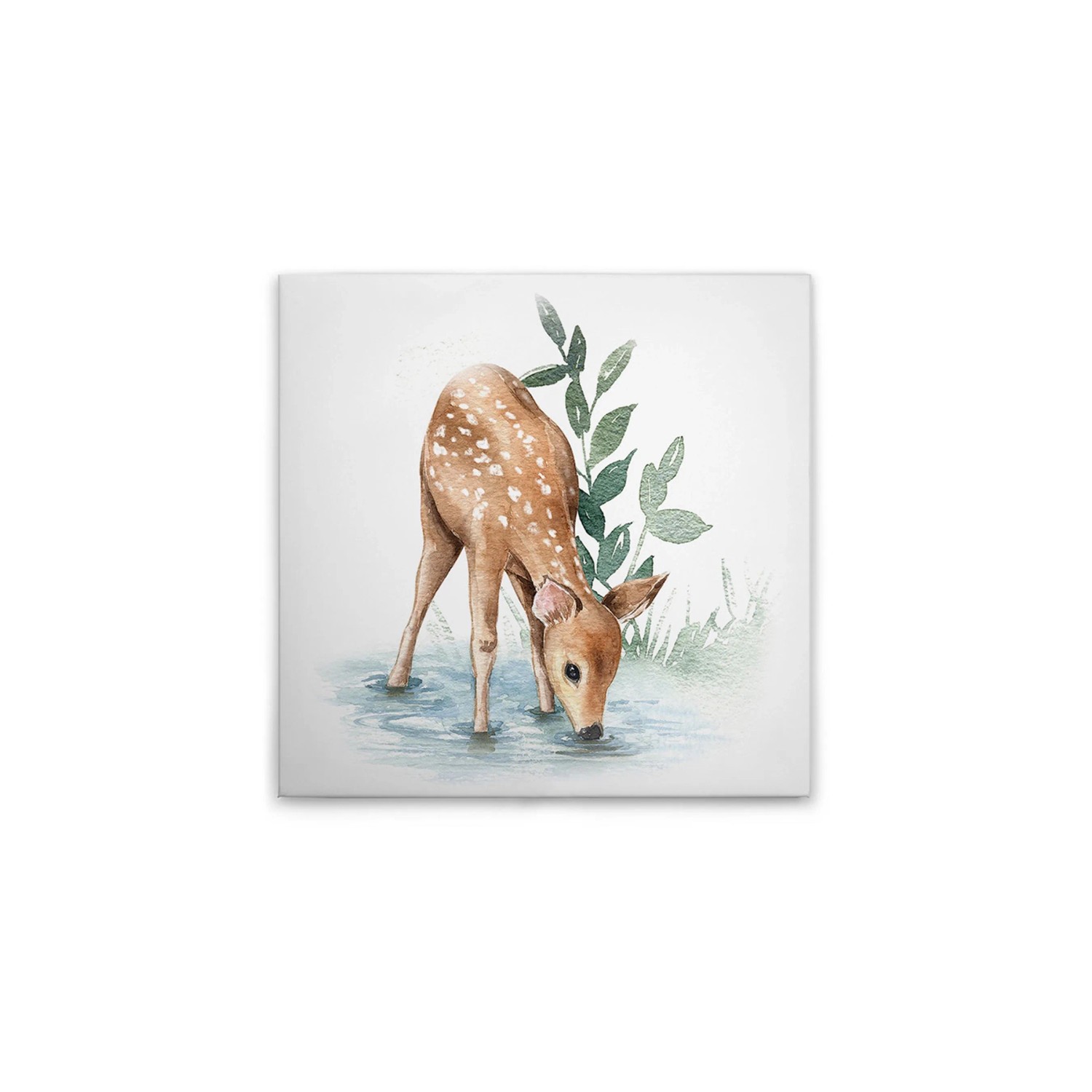 Tadessi Leinwandbild - M1-No.50620 - Waldtiere - 30 x 30 cm - Quadratisch
