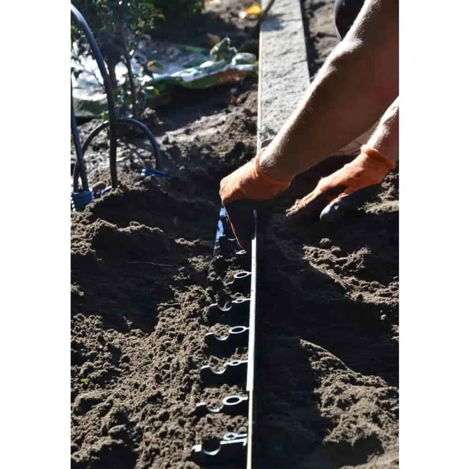 Einbau einer flexiblen, schwarzen Kunststoff Rasenkante/Beeteinfassung im Garten.