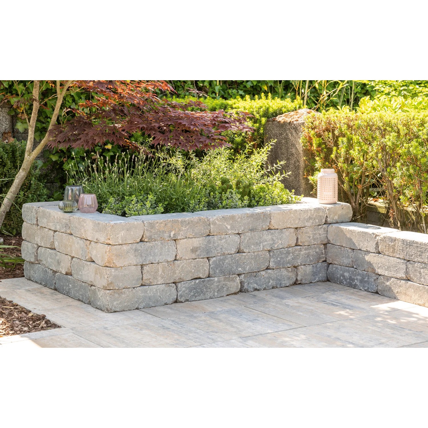 Diephaus Mauerstein Collo Muschelkalk als Gartenmauer mit Bepflanzung, 30x20x10 cm.